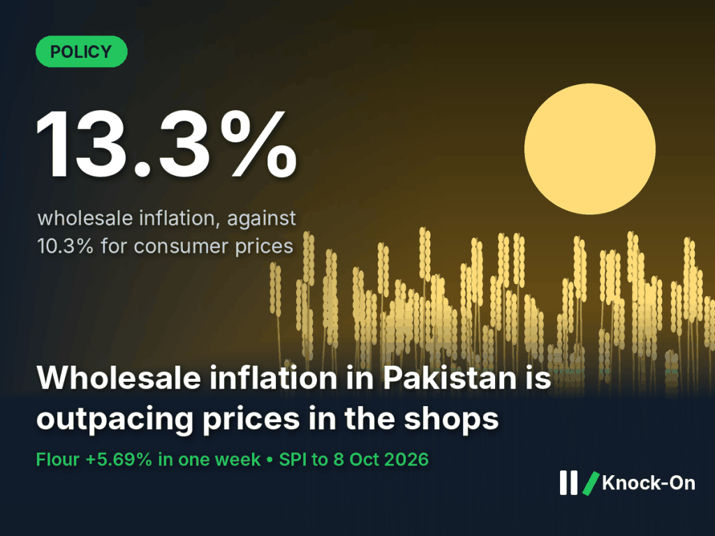 Wholesale inflation Pakistan infographic: WPI at 13.3% against 10.3% consumer inflation, shown over an illustrated wheat field at sunset